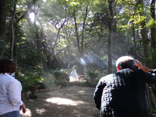 PA270030.JPGのサムネイル画像